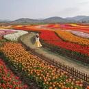 盐城旅游 缩略图 5