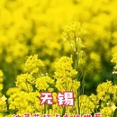 无锡旅游 缩略图 1