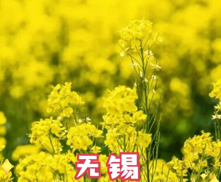 无锡旅游 1