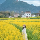 汉中旅游 缩略图 9