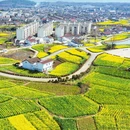 汉中旅游 缩略图 15