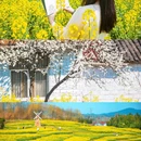 汉中旅游 缩略图 10