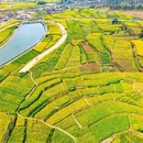 汉中旅游 缩略图 17