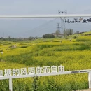 汉中旅游 缩略图 6