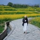汉中旅游 缩略图 5