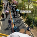 汉中旅游 缩略图 10