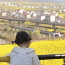 汉中旅游 缩略图 5