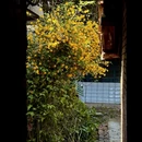 汉中旅游 缩略图 12