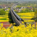 汉中旅游 缩略图 2