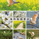 汉中旅游 缩略图 3