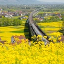 汉中旅游 缩略图 7