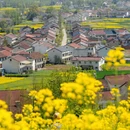 汉中旅游 缩略图 5