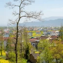 汉中旅游 缩略图 10