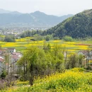 汉中旅游 缩略图 15