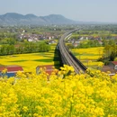 汉中旅游 缩略图 12