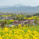 汉中旅游 缩略图 14