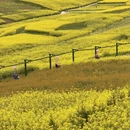 汉中旅游 缩略图 3