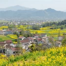 汉中旅游 缩略图 16