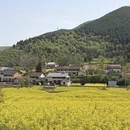 汉中旅游 缩略图 1