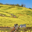 汉中旅游 缩略图 2