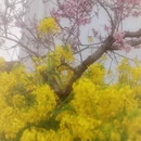 汉中旅游 缩略图 5