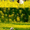 汉中旅游 缩略图 3