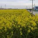 汉中旅游 缩略图 9