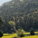 汉中旅游 缩略图 4