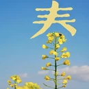 汉中旅游 缩略图 5