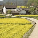 汉中旅游 缩略图 2