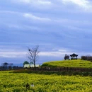 汉中旅游 缩略图 3