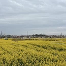 汉中旅游 缩略图 5