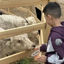汉中旅游 缩略图 11