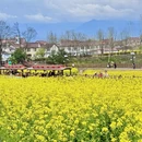 汉中旅游 缩略图 8