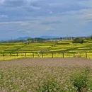 汉中旅游 缩略图 7