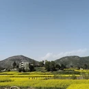 汉中旅游 缩略图 3