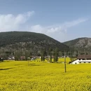 汉中旅游 缩略图 1