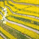 无锡旅游 缩略图 1