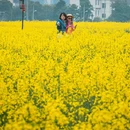 无锡旅游 缩略图 7