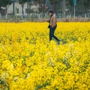 无锡旅游 缩略图 8