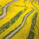 无锡旅游 缩略图 5
