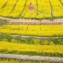 无锡旅游 缩略图 3