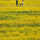 无锡旅游 缩略图 11