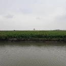 扬州旅游 缩略图 2