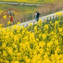 无锡旅游 缩略图 14