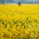 无锡旅游 缩略图 10
