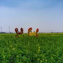 扬州旅游 缩略图 1