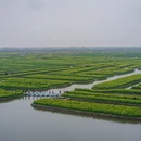 扬州旅游 缩略图 7