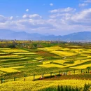 汉中旅游 缩略图 4
