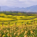 汉中旅游 缩略图 6